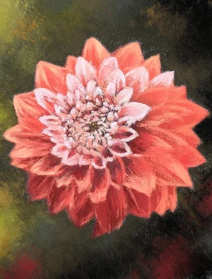 139-dalia