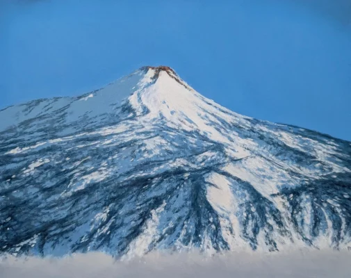 PXL_20260104_141607355~2